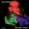 Tom McKinley & Miroslav Vitous - Tom McKinley & Miroslav Vitous